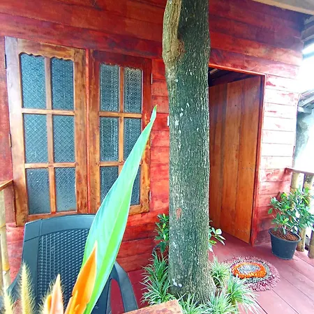 Parrot Tree House Villa Mirissa Exterior photo