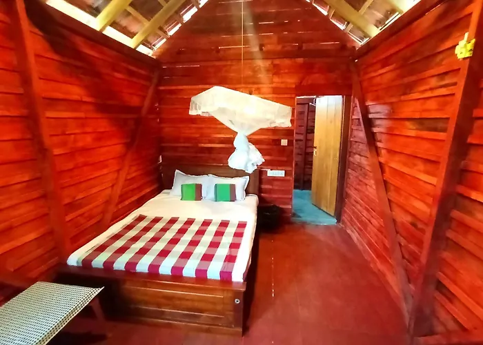 Parrot Tree House