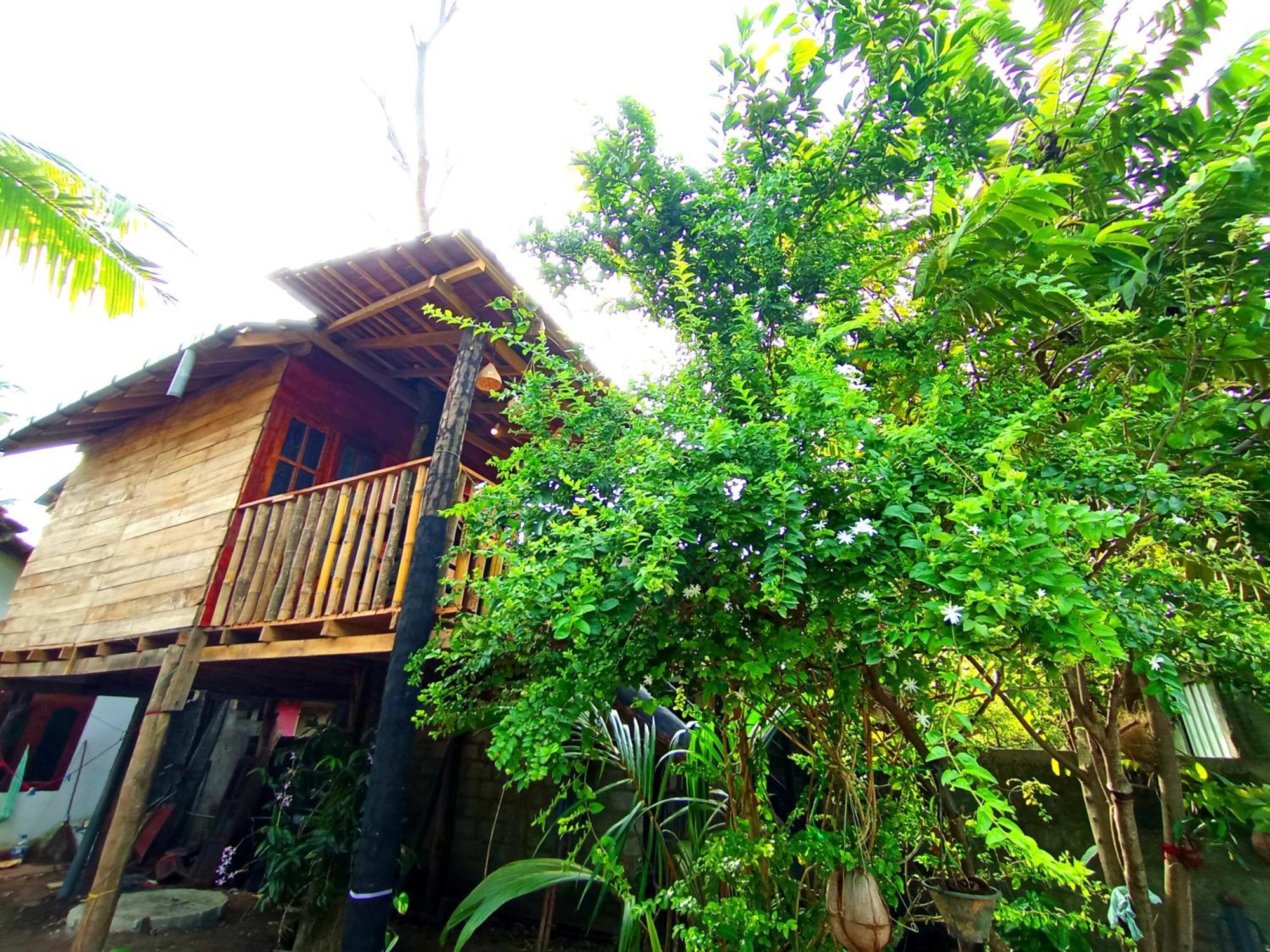 Parrot Tree House