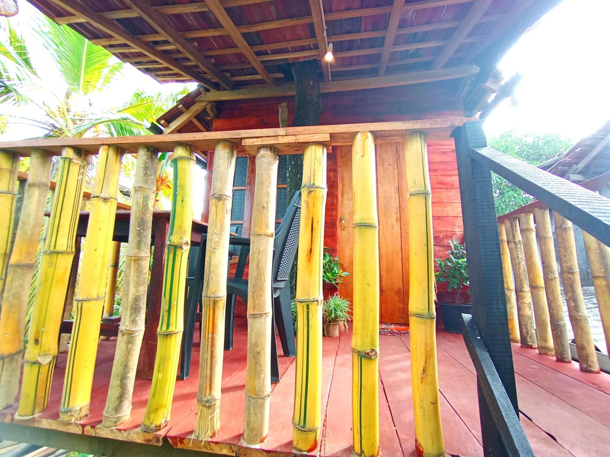 Parrot Tree House * Mirissa